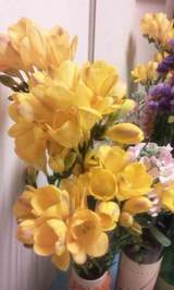 かもめグリルは花盛り(^_^)v