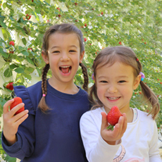 あなたはどっち派？欲張りさんはハシゴもOK！春の味覚狩り♪