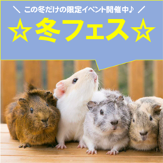 2020年はねずみが大活躍？！　冬フェス　19-20