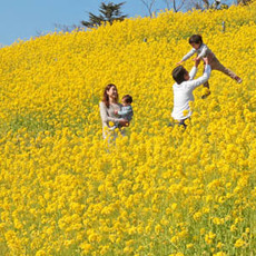 マザー牧場の春を楽しもう♪「春フェス」