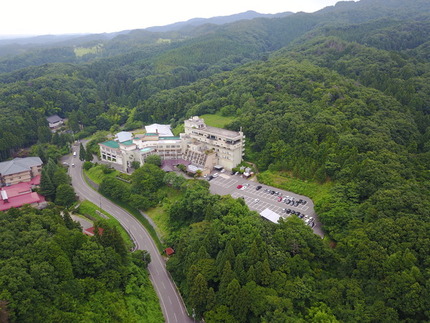 カブトムシ探し トピックス詳細 湯田上温泉ホテル小柳 公式 新潟市から一番近い温泉宿