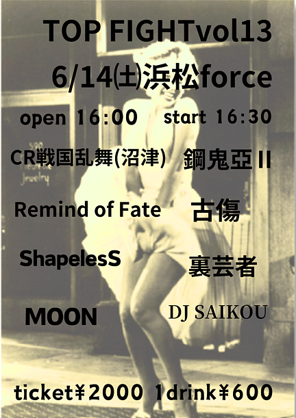 TOP FIGHT vol.13