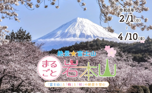 絶景★富士山 まるごと岩本山