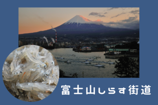 富士山しらす街道
