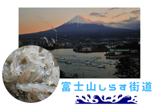 富士山しらす街道
