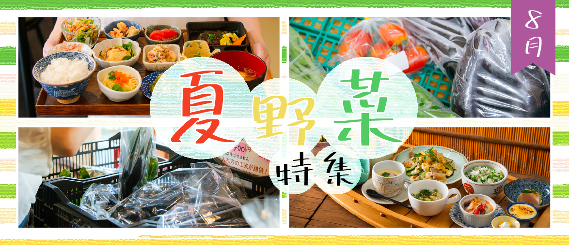  【8月の特集】 夏野菜特集