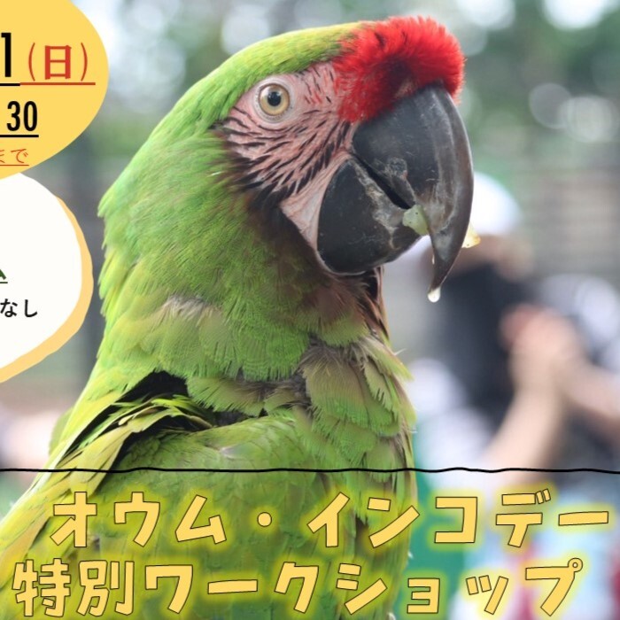 オウムインコデー2026特別ワークショップ