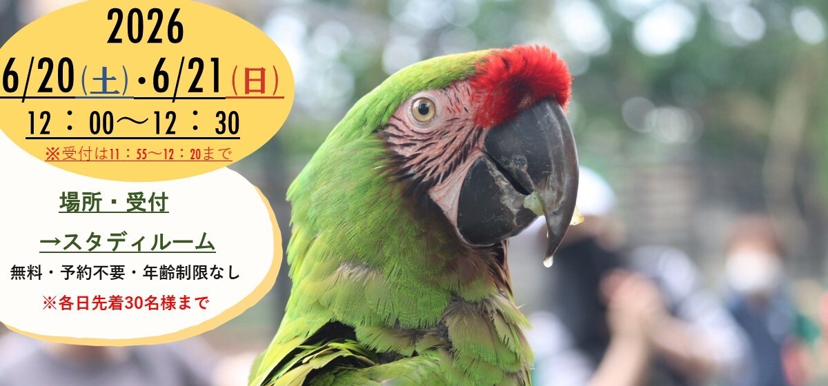 オウムインコデー2026特別ワークショップ