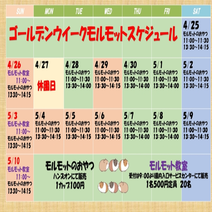 GW期間中のモルモットスケジュールカレンダー