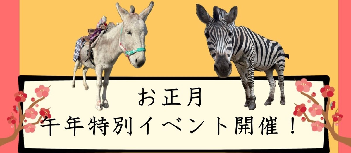 新春！ うま年特別イベント開催！