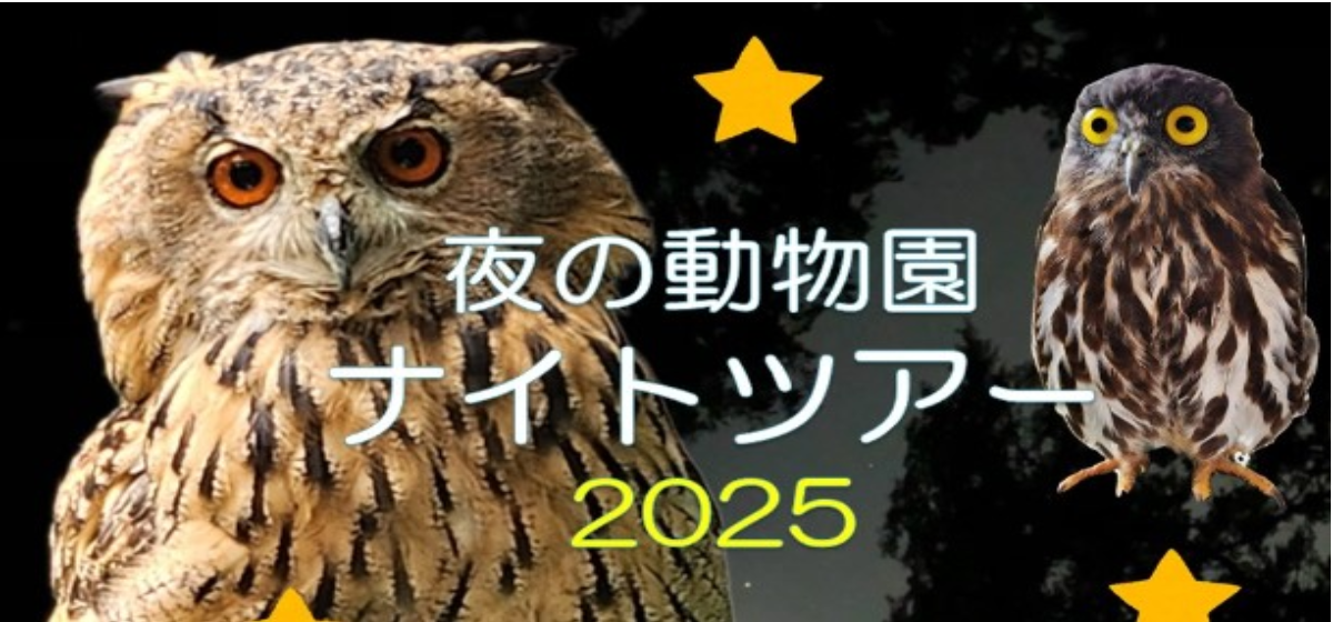 2025ナイトツアー開催❕❕