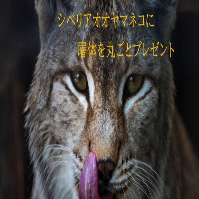 1129(いいにく)の日イベント