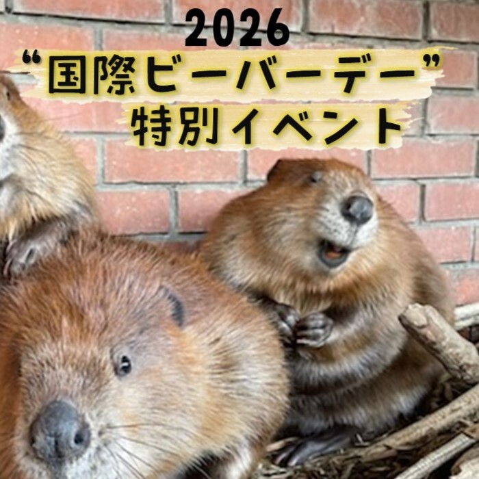 国際ビーバーデー特別イベント