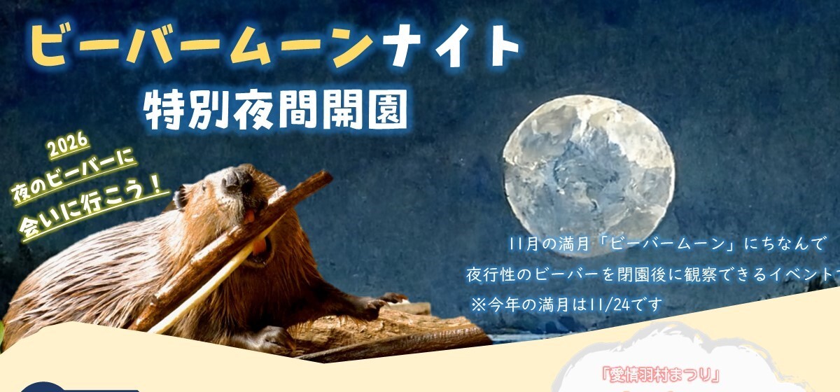 ビーバームーンナイト2026