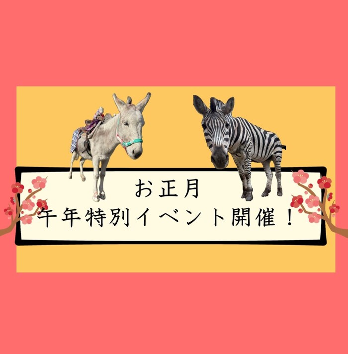 新春！ うま年特別イベント開催！