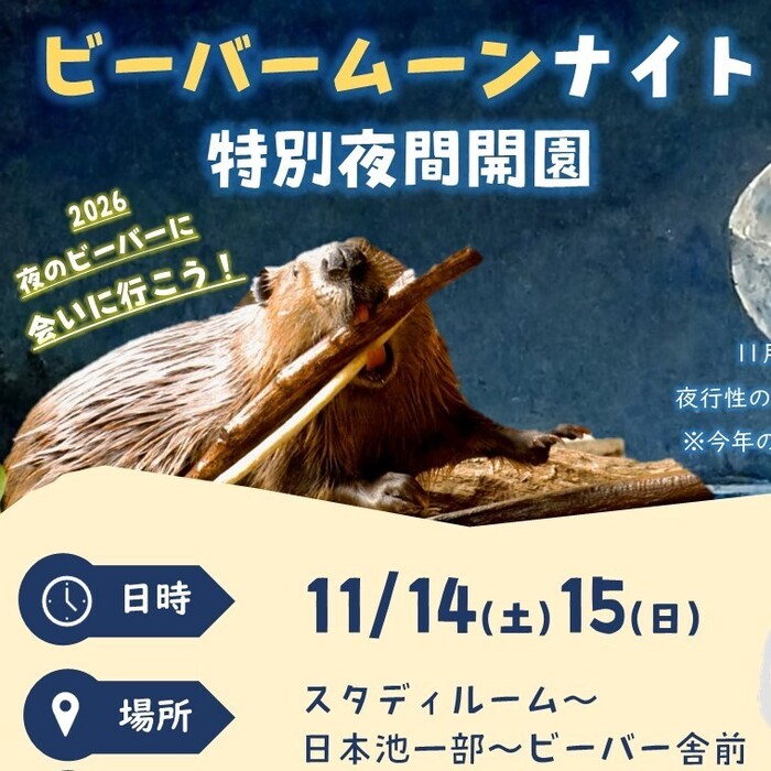 ビーバームーンナイト2026