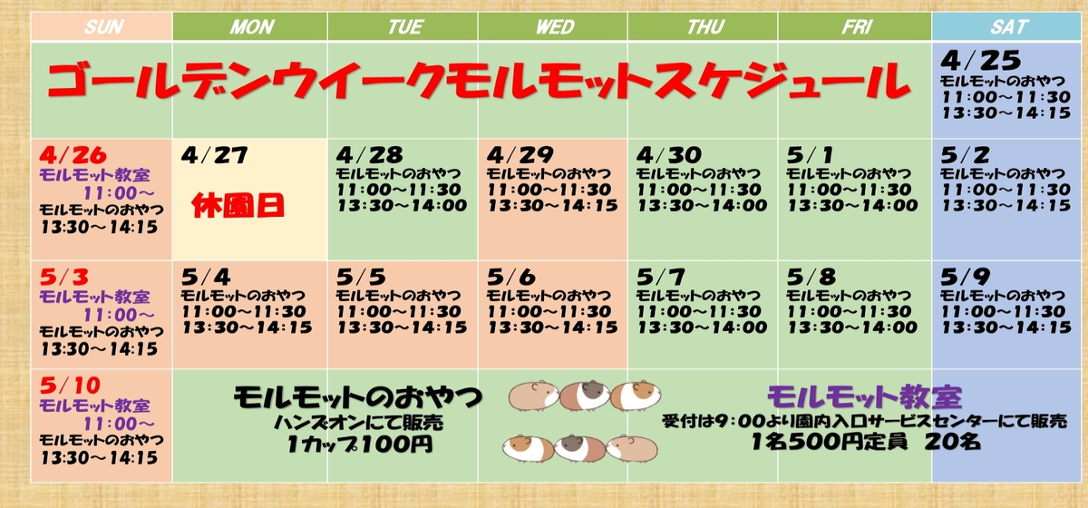 GW期間中のモルモットスケジュールカレンダー