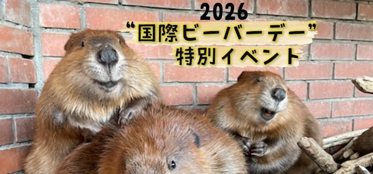 国際ビーバーデー特別イベント