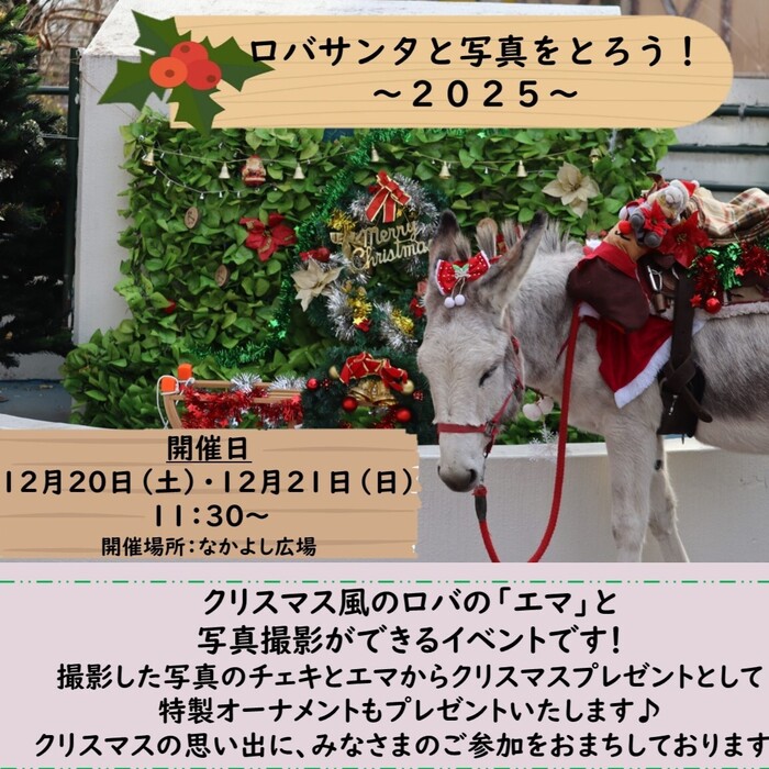 クリスマスイベント「ロバサンタさんと写真をとろう！」