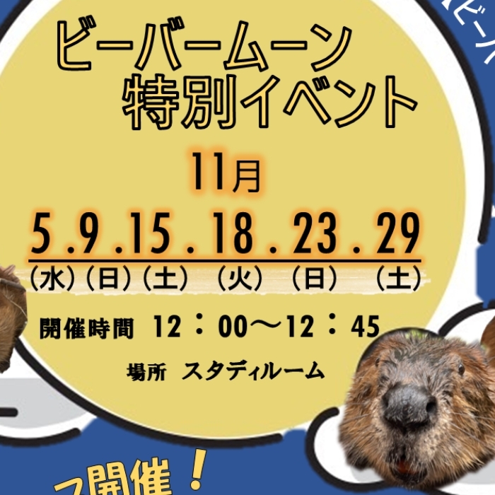 “ビーバームーン”特別イベント2025