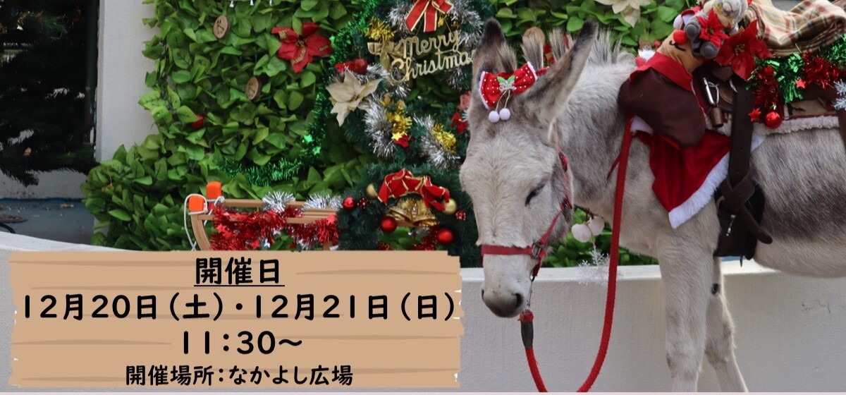 クリスマスイベント「ロバサンタさんと写真をとろう！」
