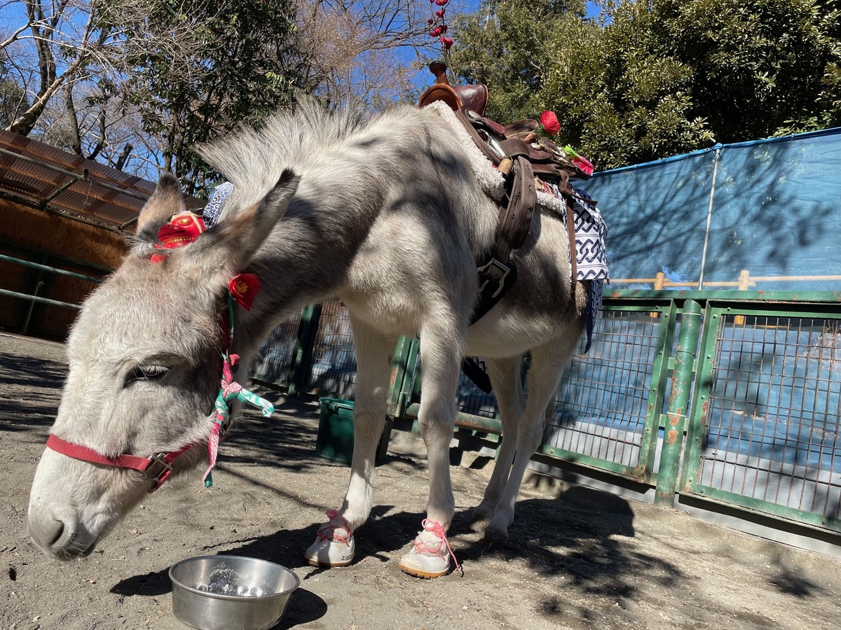 羽村市動物公園 - Hamura Zoo