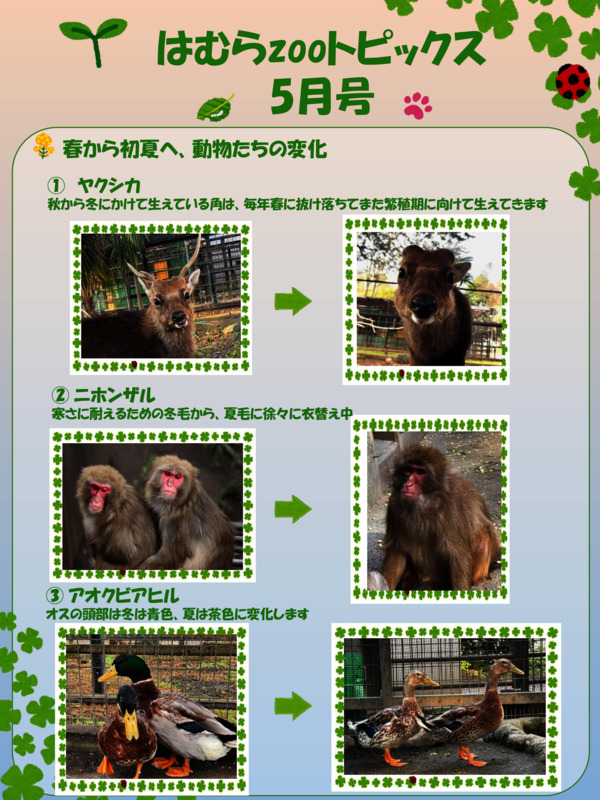 最新号