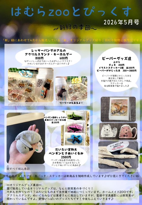最新号