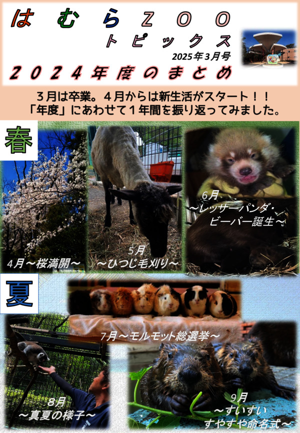 最新号