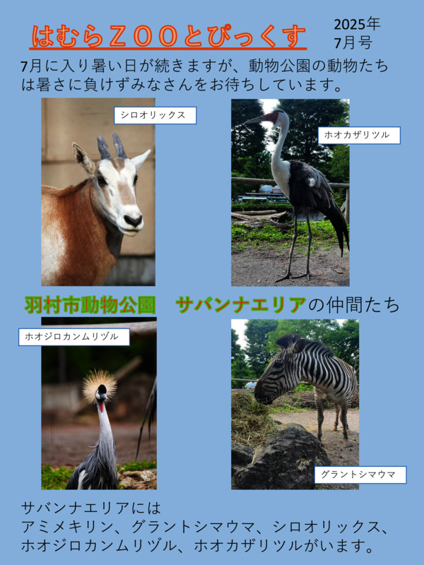 最新号
