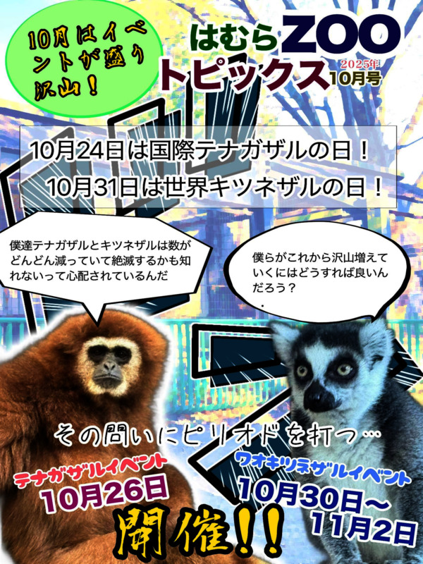 最新号