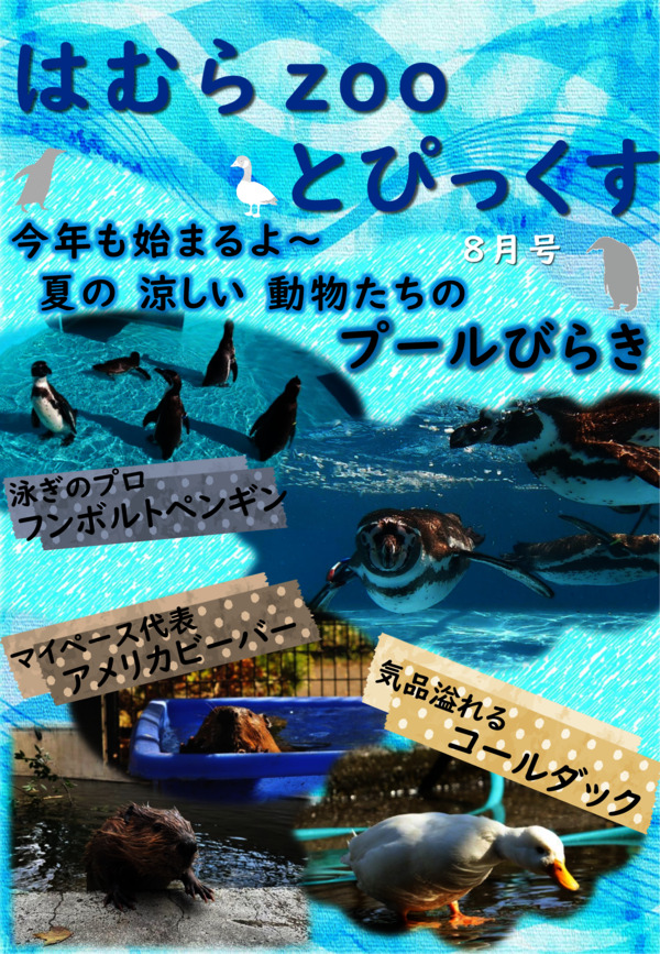 最新号