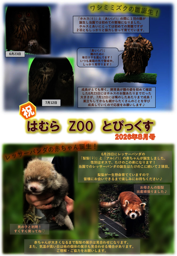 最新号