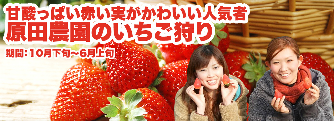 いちご狩り