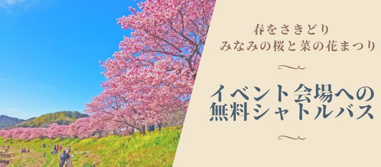 みなみの桜