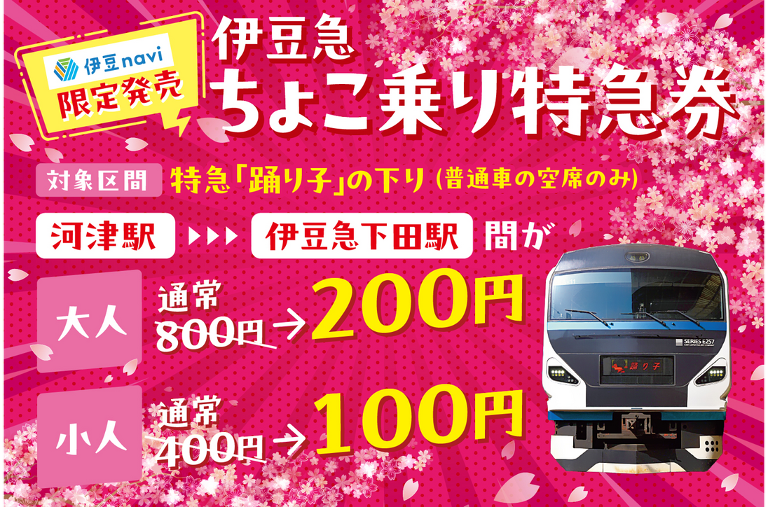 伊豆急ちょこ乗り特急券