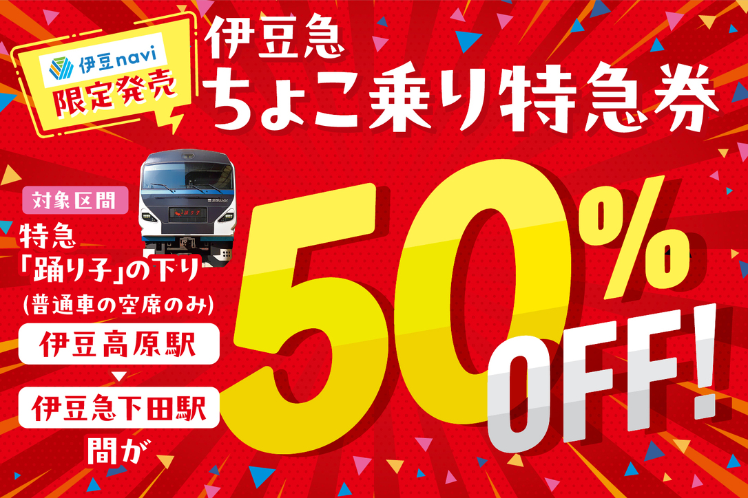 伊豆急ちょこ乗り特急券