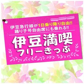 伊豆満喫フリーきっぷ
