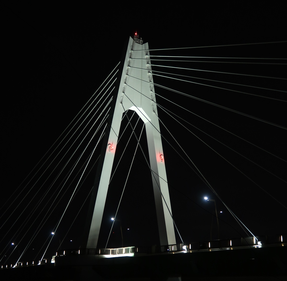 一般社団法人 川崎市観光協会 Kawasaki City Tourist Association