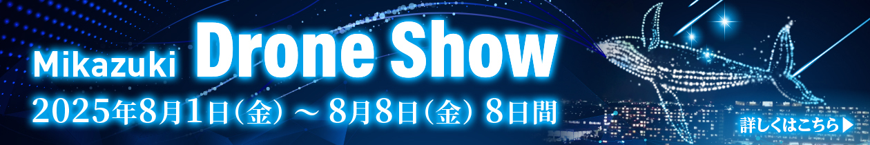 ドローンショーLP