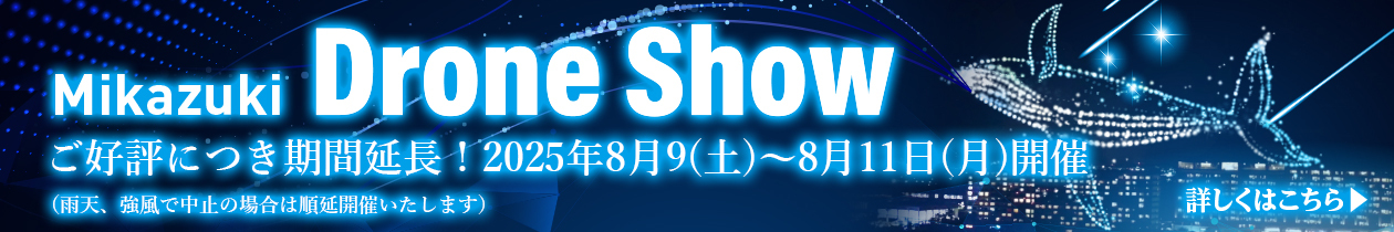 ドローンショーLP