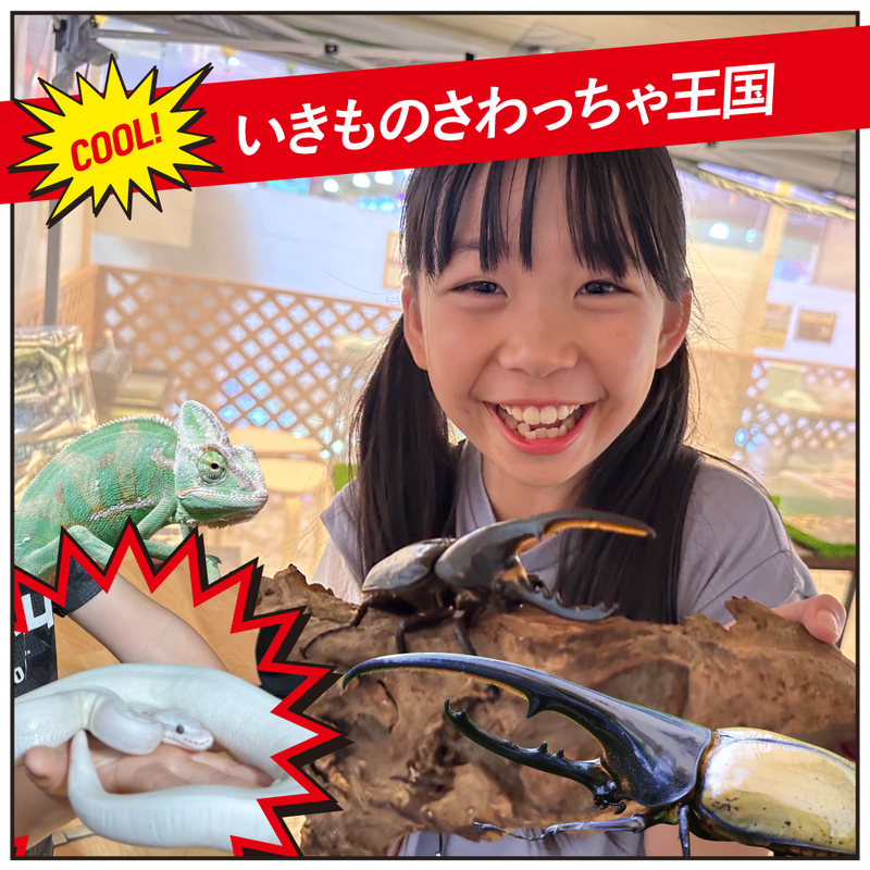 いきものさわっちゃ王国
