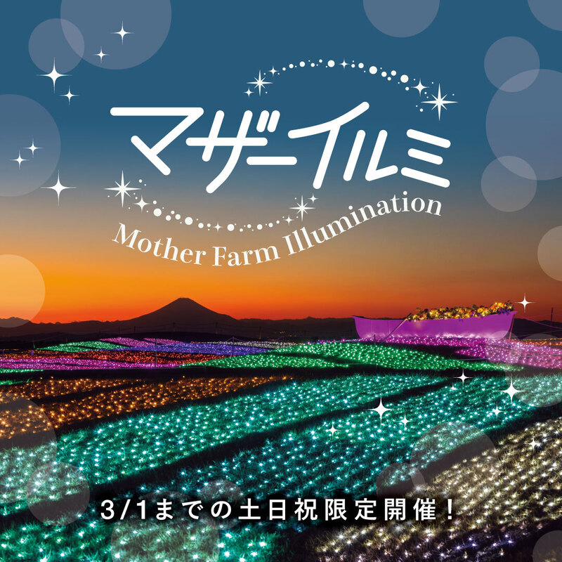 マザーイルミ