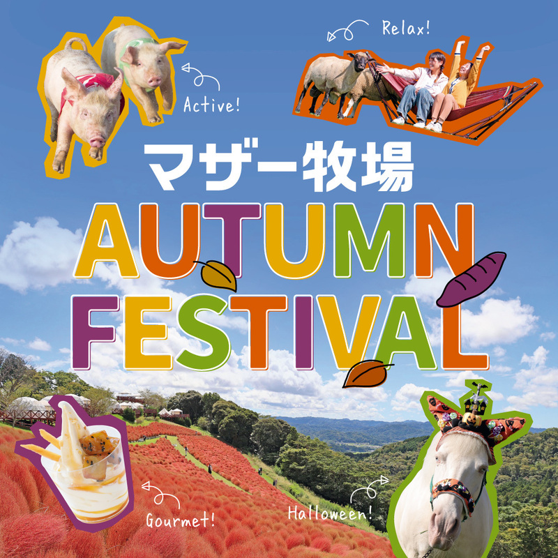 秋限定イベント開催中