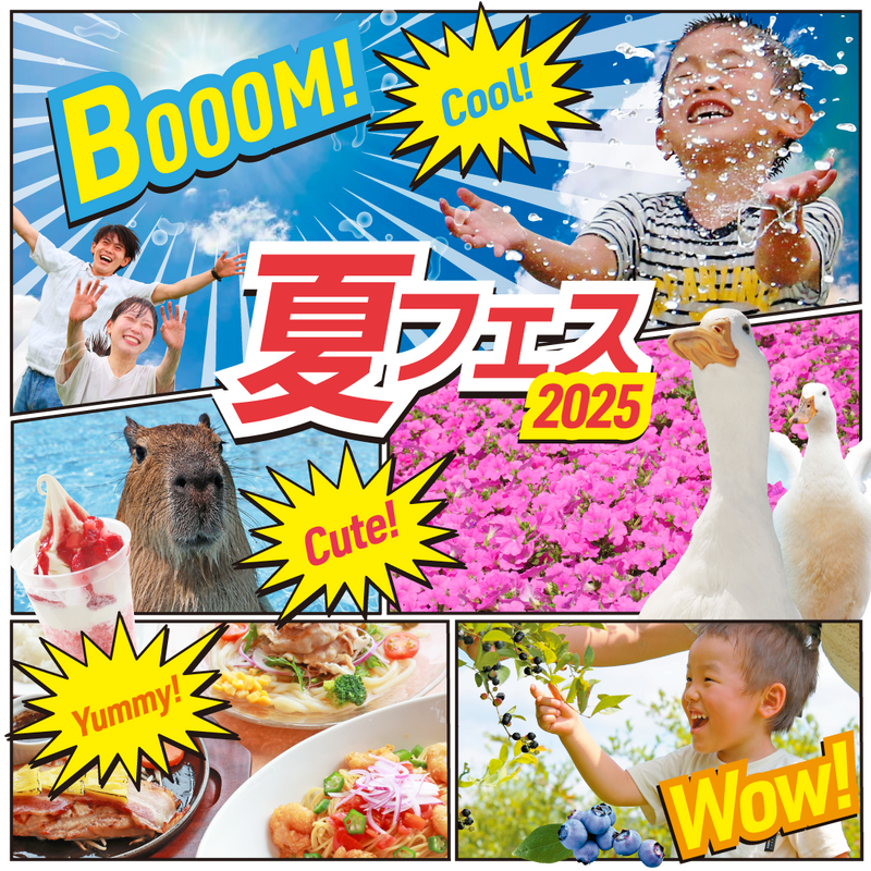 夏イベント