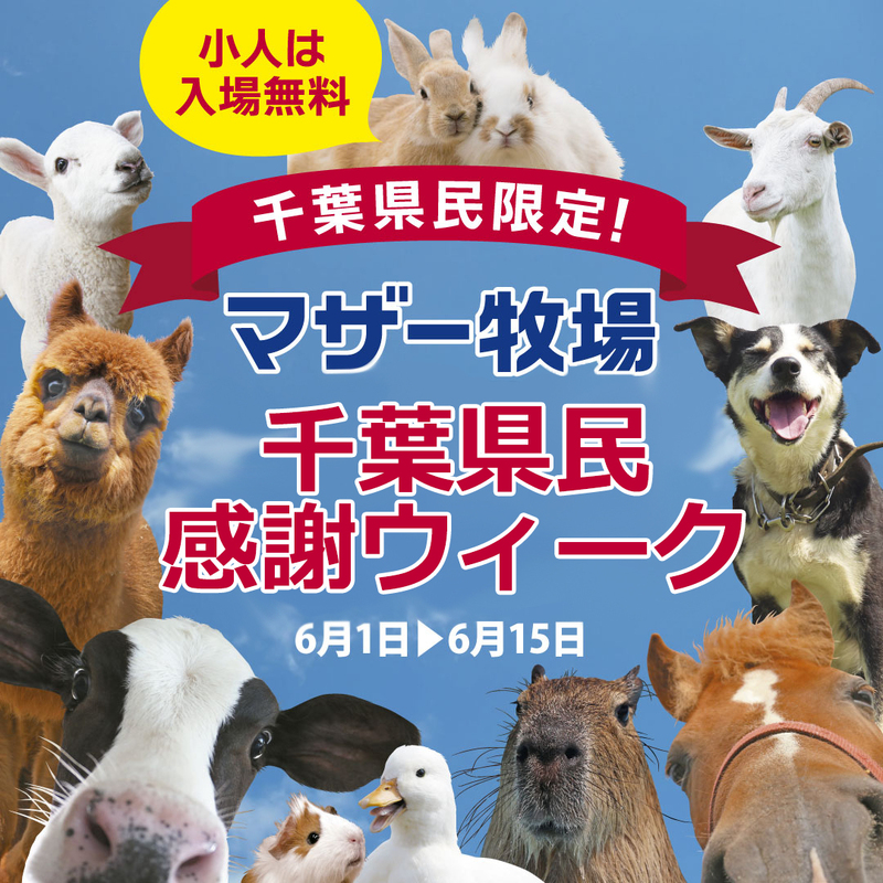 千葉県民感謝ウィーク
