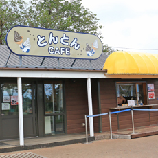 とんとんCAFE