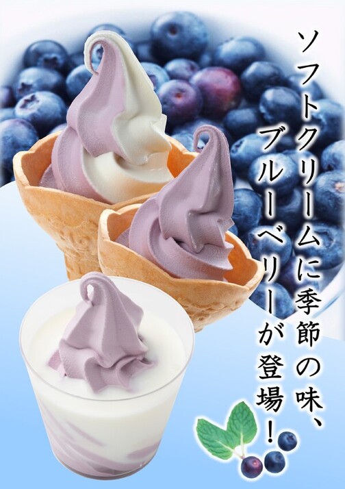 【期間限定】ブルーベリーソフト販売開始！！