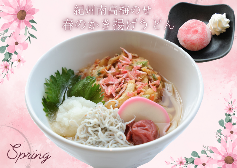 紀州南高梅のせ春のかき揚げうどん