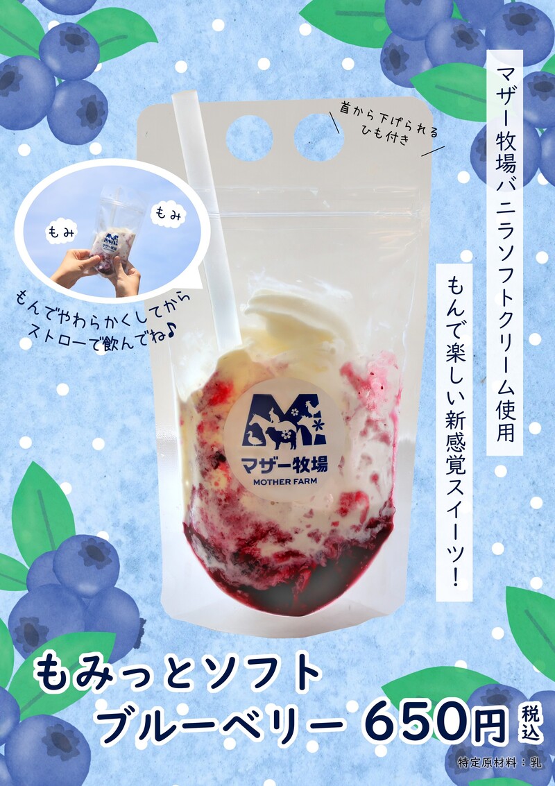 もみっとソフト　ブルーベリー